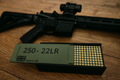 .22LR ( Long Rifle) ammo box- Holds up to 250 rounds.
